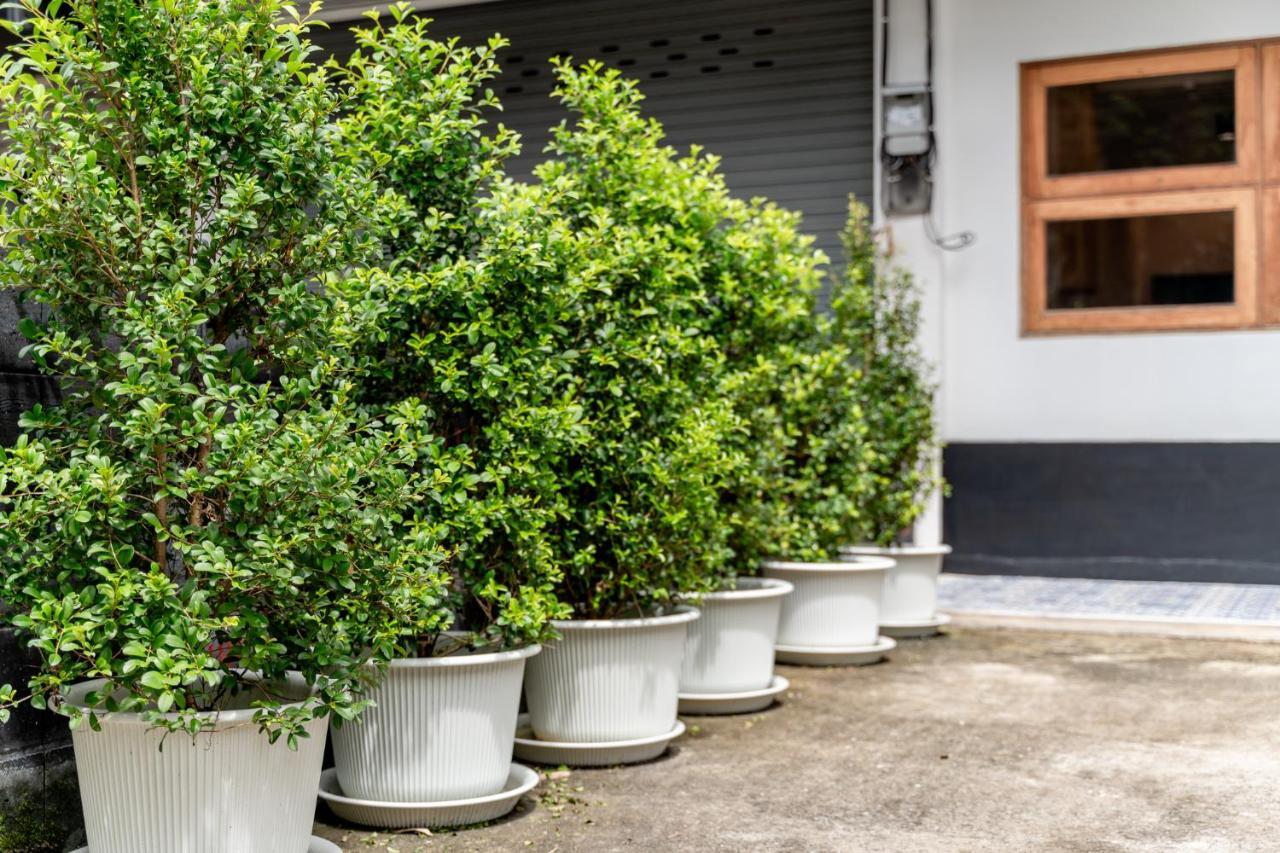 Socialer Coliving & Coworking Space Chiang Mai Buitenkant foto